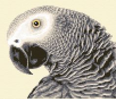 an image of a bird that is pixelated