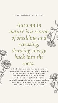 Autumn Spiritual, Autumn Wellness, Autumn Herbs, Pilates Retreat, Living Seasonally, Autumn Yoga, Yoga Themes, Seasonal Living, Herbal Apothecary