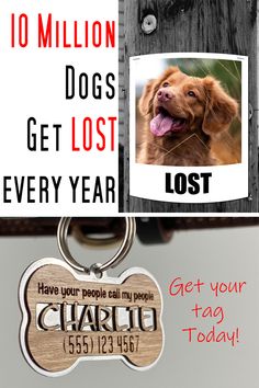 a dog tag with the words'10 million dogs get lost every year'next to a photo of a dog