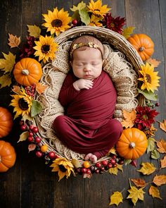 a newborn baby wrapped in a maroon blanket surrounded by fall leaves and sunflowers