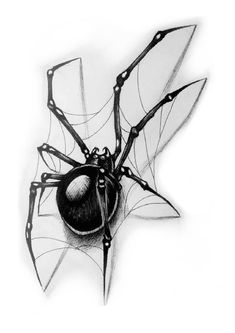 a black and white drawing of a spider