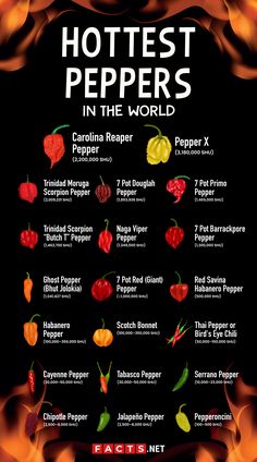 the hottest peppers in the world are on fire, and there is an info sheet below