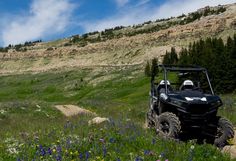 a man riding on the back of an atv in a field full of wildflowers