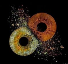 an eyeball is shown in the middle of two pieces of wood that have been chopped together