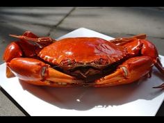 a large crab sitting on top of a white square plate in front of a sidewalk