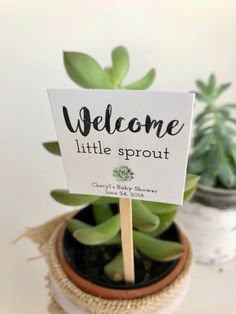 Plant Favor Sticks I Welcome Little Sprout I Baby Shower Party Supplies I Personalized I Succulent Plant Sticks - Etsy Plant Sticks, Succulent Favors, Printable Favor Tags, Baby Shower Party Supplies, Mini Succulents, Baby Shower Party, Sustainable Gifts, Baby Shower Woodland, Succulent Plant