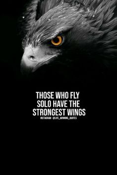 Discover the true power of flying solo with our inspirational quote: 'Those who fly solo have the strongest wing.' Embrace your independence, overcome challenges, and soar to new heights. Let this pin be your daily reminder to harness your inner strength and achieve greatness. #SoloFlyers #InnerStrength #Inspiration"
Keywords: Solo Flyers, Strongest Wing, Independence, Inner Strength, Inspiration Fighter Quotes, Beast Quotes, Lion Quotes, Inspirtional Quotes, Motivational Quotes Wallpaper, Strong Mind Quotes, Genius Quotes, Warrior Quotes