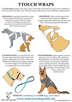 an info sheet describing the different types of dogs and their collars, with instructions on how to use them