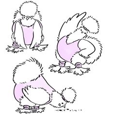 an image of two birds with one bird on its feet and the other sitting down