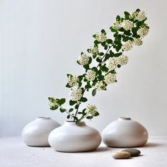 three white vases with flowers in them sitting on a table next to two rocks