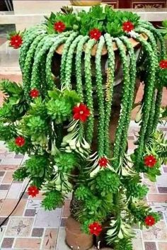 a potted plant with red flowers and green leaves on the top is sitting on a tiled floor