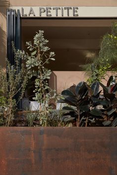 a planter filled with lots of green plants next to a tall brown sign that says la petite