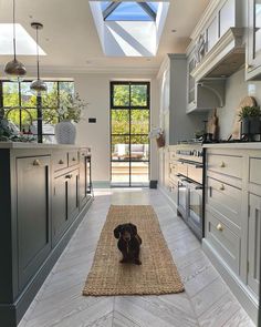 a brown dog sitting on top of a rug in a kitchen