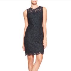 Nwt Banana Republic Lace Dress Navy Size 6p Banana Republic Lace Dress, Navy Cocktail Dress, Navy Lace Dress, Navy Lace, Lace Sheath Dress, Lace Hem, Cocktail Dress Lace, Banana Republic Dress, Black Cocktail Dress