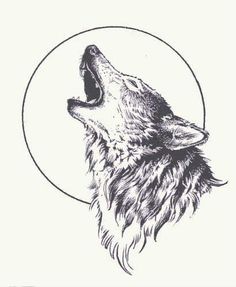 a drawing of a wolf with its mouth open and it's head in the air