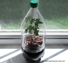 a bottle filled with plants sitting on top of a window sill