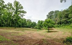 an empty field surrounded by trees and grass