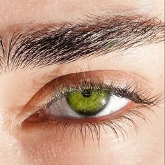 Gemstone Green Eyes, Light Green Eyes Aesthetic, Jade Green Eyes, Forest Green Eyes, Mint Green Eyes, Deep Green Eyes, Green Eye Color, Green Eyes Aesthetic