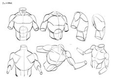 the instructions for how to draw an anime character's head and torso, with different angles