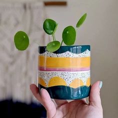 a person holding a small pot with a plant in it