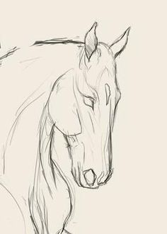 a pencil drawing of a horse on a white background