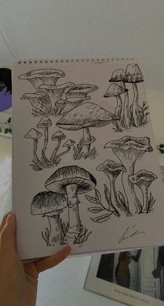 a person holding up a book with drawings on it and mushrooms in the pages next to them