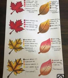 a sheet of paper that has different colored leaves on it, and the names of each leaf