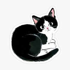 a black and white cat sitting on the floor with its eyes wide open sticker