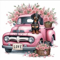 a painting of a dachshund sitting on the hood of a pink truck