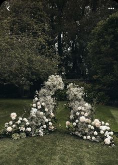 an arch made out of flowers in the grass