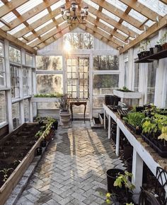 an indoor greenhouse with lots of plants growing in pots and potted plants on the floor