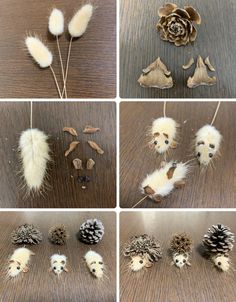 four pictures of different types of pine cones and feathers on a table with one pine cone in the middle