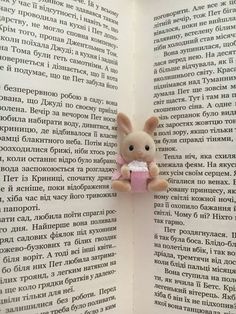 a stuffed animal is sitting on top of an open book with the pages in english