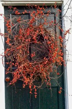 a wreath on the front door of a house with red berries hanging from it's branches