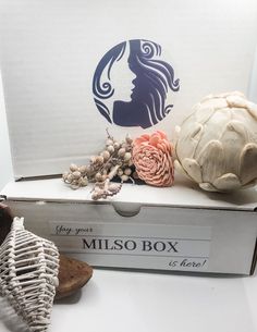 two seashells are sitting on top of a box with the word milso box next to it