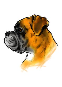 a drawing of a dog's head on a white background