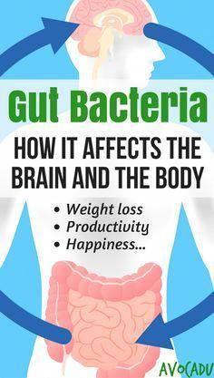 Today we're going to talk about how gut bacteria affects the brain and the body! This will help you get your gut healthy again and finally lose that weight! Cleanse Gut, Gut Cleanse, Clean Program, Simple Nutrition, Recipes Diet, Health Heal, Gut Bacteria, Gut Healing, Leaky Gut