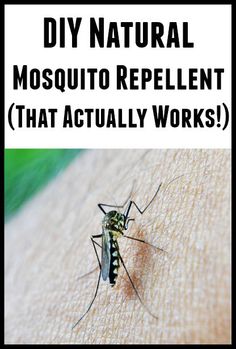 mosquito repellent that actually works on someone's arm with text overlay