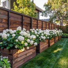 a row of wooden planters filled with white hydrangeas next to a house