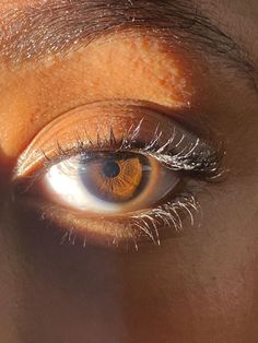 Dark Brown Eyes In Sunlight, Pretty Dark Brown Eyes, Pretty Eyes Brown, Bright Brown Eyes, Pretty Brown Eyes Aesthetic, Eye Refrences Photos, Dark Amber Eyes, Russet Brown Eyes, Pics Of Eyes