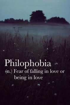 Philophobia In The Darkness, Myers Briggs, Aesthetic Words