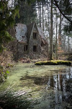 an old house in the woods with moss growing on it's roof and windows