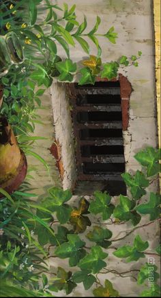 an open window in the side of a building with green plants growing on it's sides