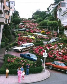 several cars parked on the side of a road next to bushes and flowers with people standing around