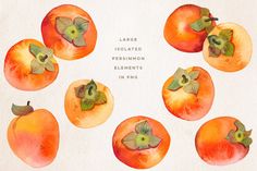 an image of peaches with leaves and flowers on them in watercolor style painting