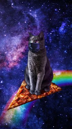 a cat sitting on top of a slice of pizza in the middle of a galaxy