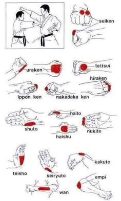 an instruction poster showing how to do the karate moves in different positions, with instructions for each