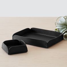 two black trays sitting on top of a wooden table next to a succulent plant