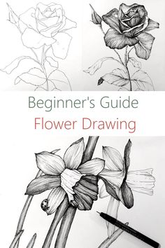 Flower Drawing Guide Fundamentals Of Drawing, Drawing Fundamentals, Draw Dogs, How To Draw Flowers, Dehydrated Foods, Draw Flowers, Flower Drawing Tutorials, Drawing Flowers