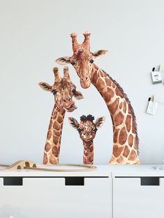 three giraffes standing next to each other on a wall in a room